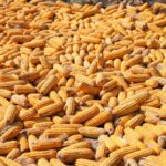 organic farming supplies