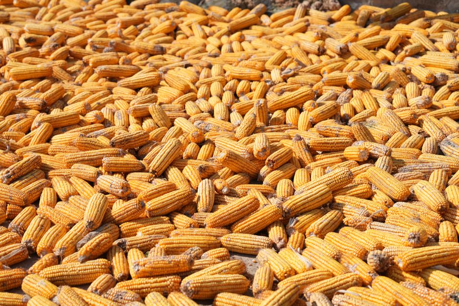 organic farming supplies