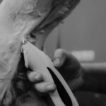 peluquería canina cerca