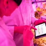 vertical farming technology