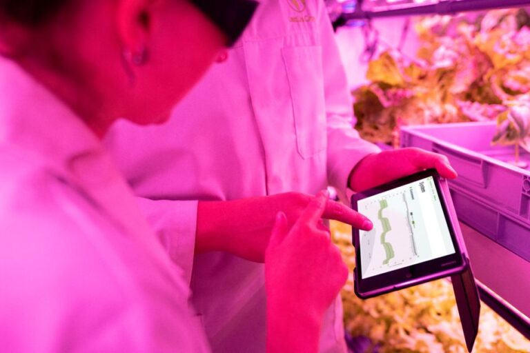 vertical farming technology