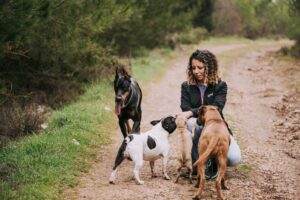 犬の保育園