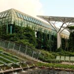 sustainable architecture firm